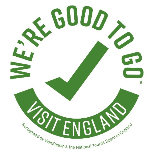 Good-To-Go-England-Green Good To Go England Green